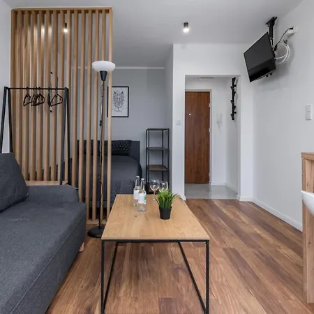 Апартаменты Cracow Best Rent Stachiewicza Street *